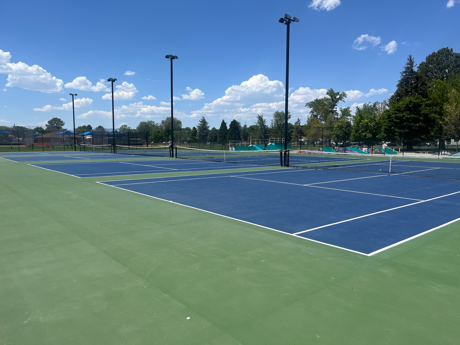 Multiple Pickleball Courts